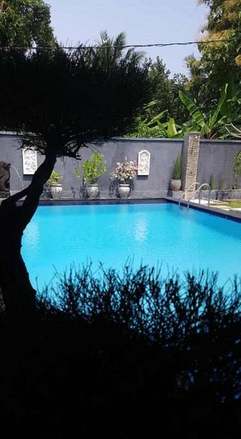 Mias Jungle House Hotel Lovina Eksteriør billede