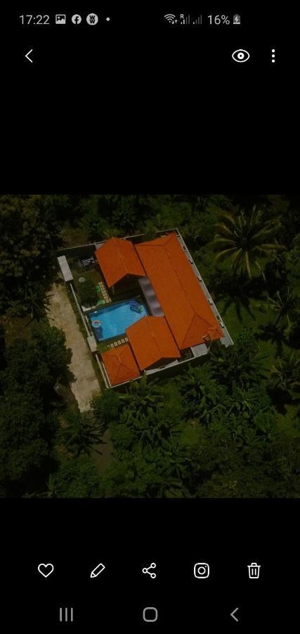 Mias Jungle House Hotel Lovina Eksteriør billede