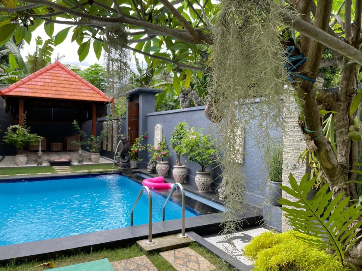 Mias Jungle House Hotel Lovina Eksteriør billede